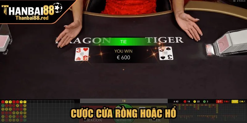 Cược cửa Rồng hoặc Hổ