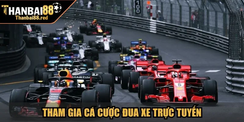 Tham gia cá cược đua xe trực tuyến